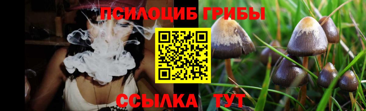 Псилоцибиновые грибы ЛСД  Вход с VPN  Георгиевск  Галлюциногенные грибы прущие грибы 
